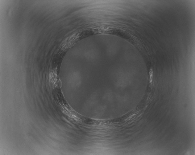 X0000078031011200610271254