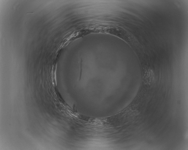 X0000078031013200610271254