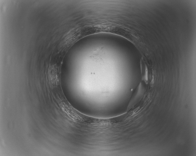 X0000078031058200610271254