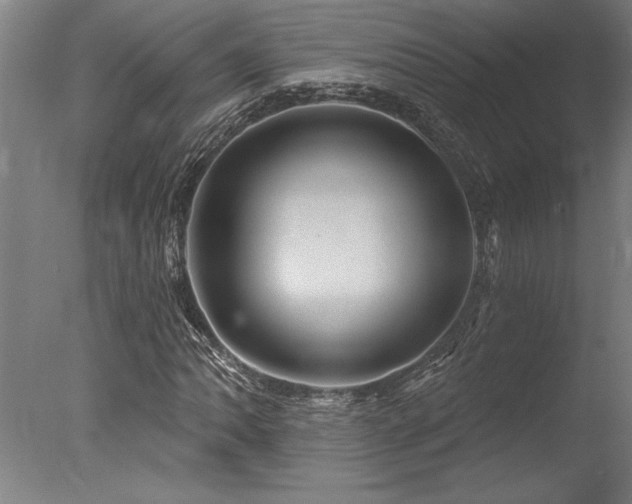 X0000078031062200610271254