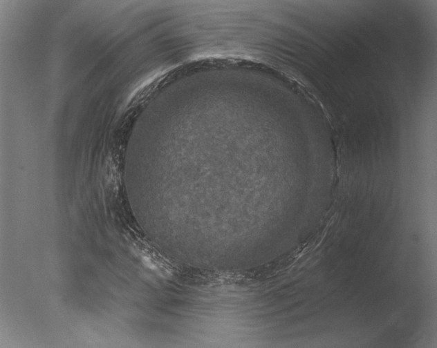 X0000078031064200610271254