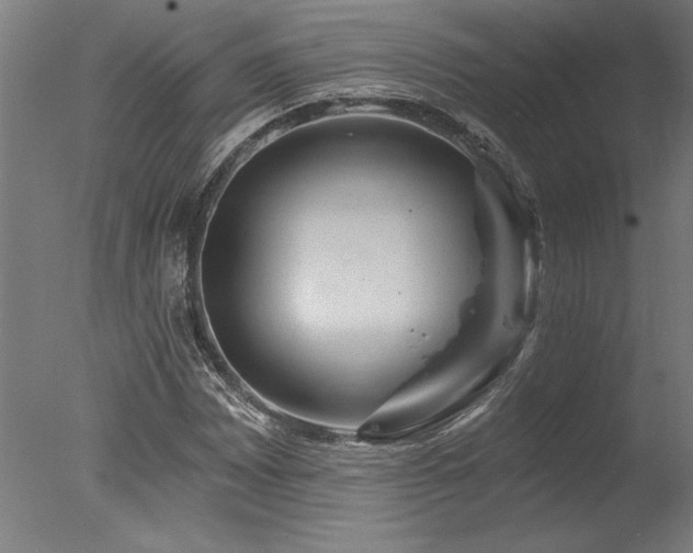 X0000078031065200610271254