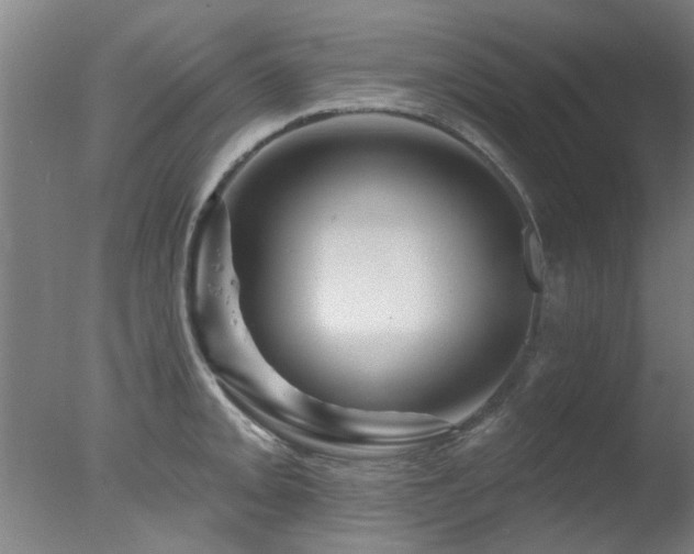 X0000078031093200610271253