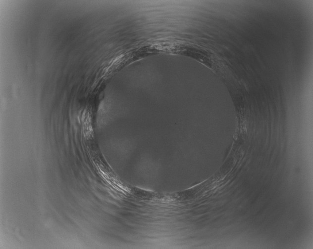 X0000078031106200610271252