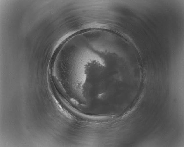 X0000078031125200610271253