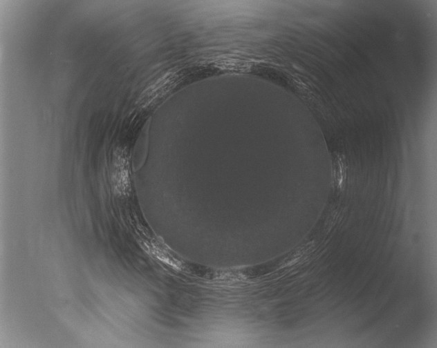 X0000078031154200610271252