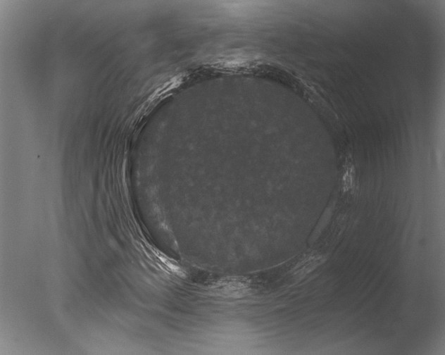 X0000078031156200610271252