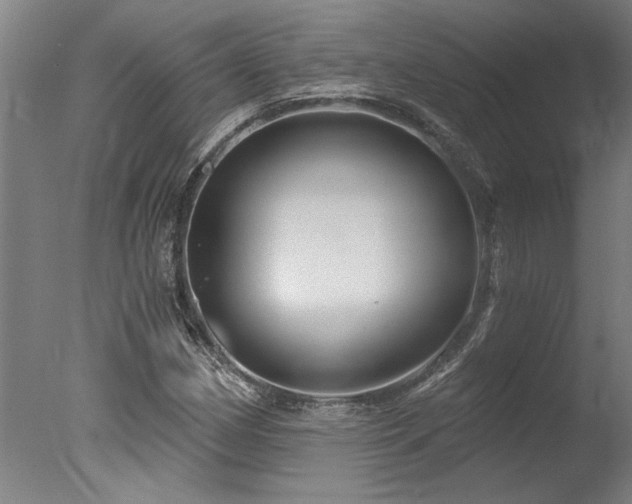 X0000078031162200610271252