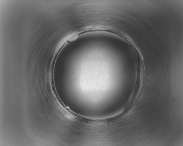 X0000078031187200610271252
