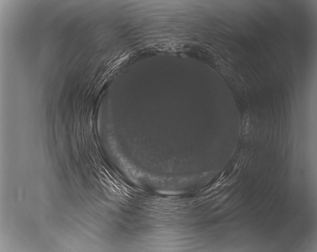 X0000078031202200610271251