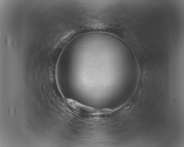X0000078031205200610271251