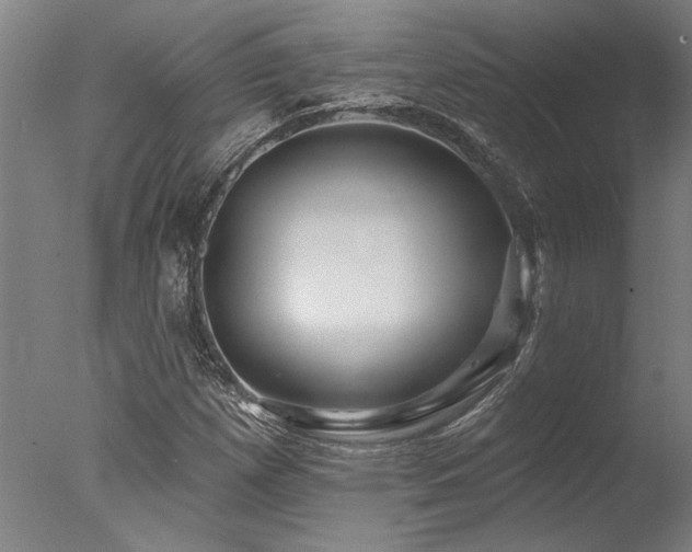 X0000078031257200610271251