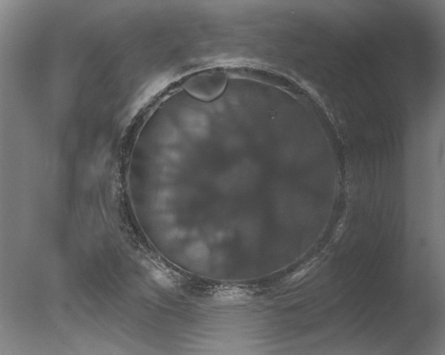 X0000078031263200610271250