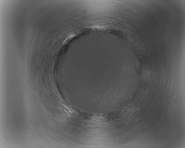 X0000078031297200610271249