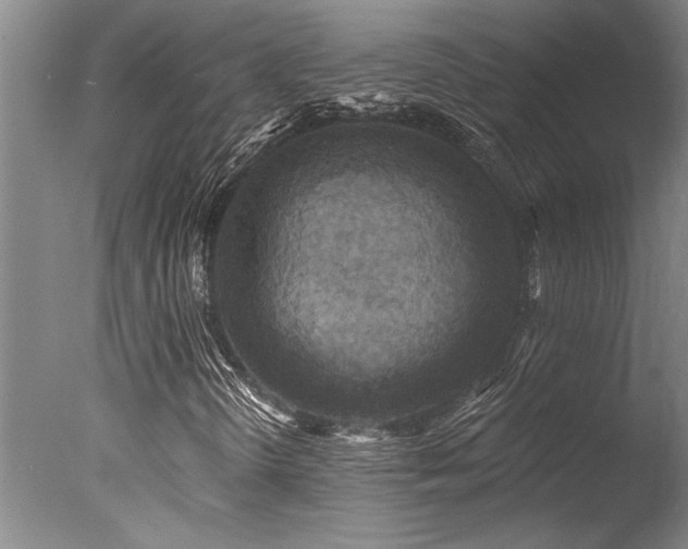 X0000078031298200610271249