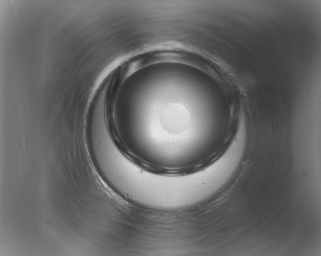 X0000078031326200610271250
