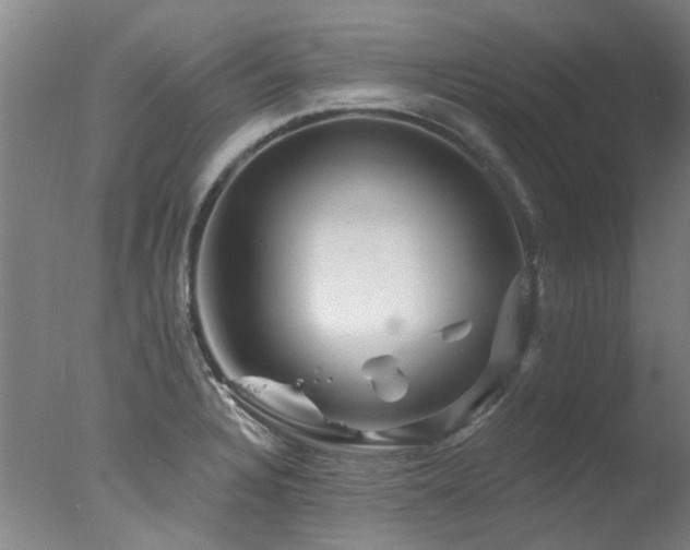 X0000078031328200610271250