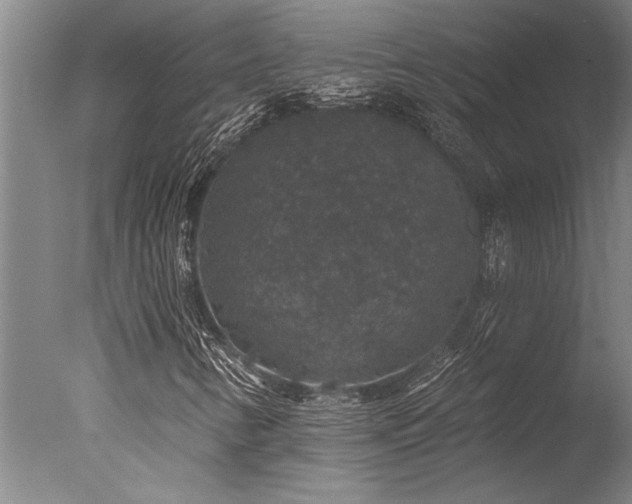 X0000078031346200610271249