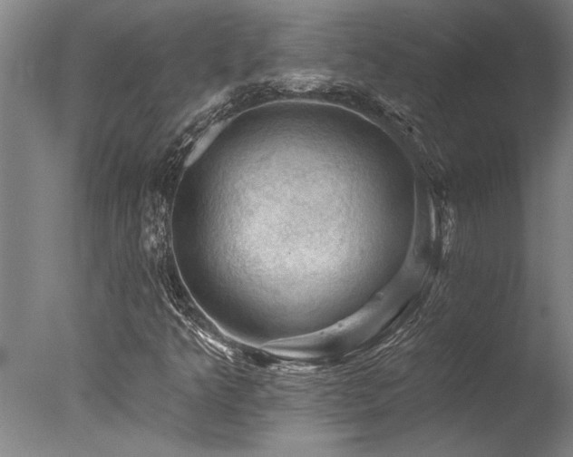 X0000078031349200610271249