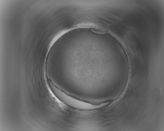 X0000078031440200610271248