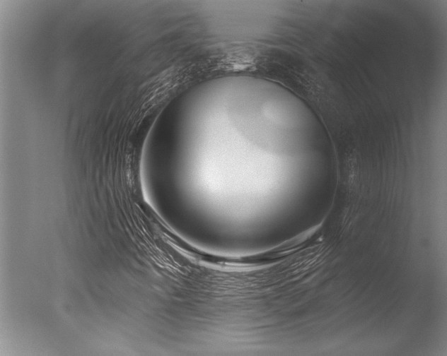 X0000078031442200610271247