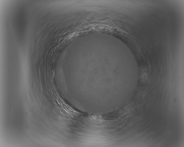 X0000078031489200610271246