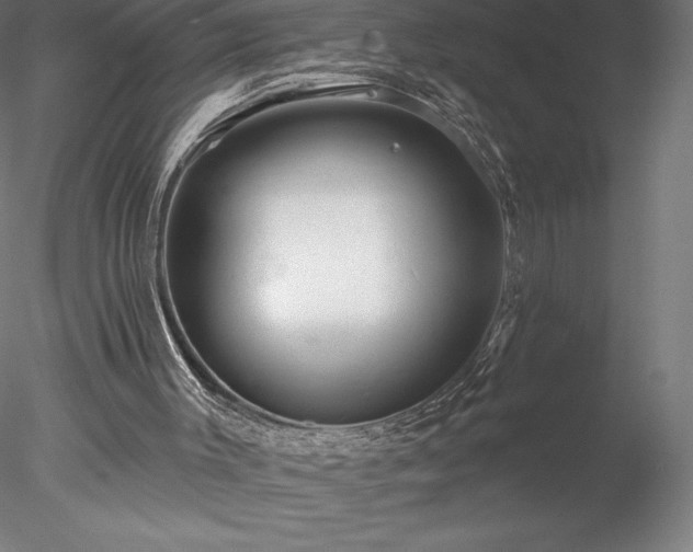 X0000078030003200611031549