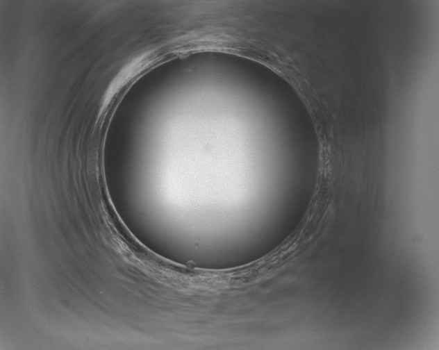 X0000078030004200611031549