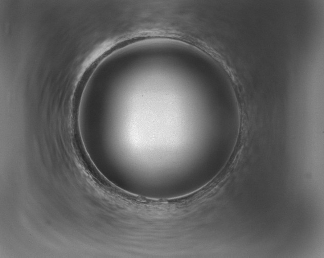 X0000078030008200611031549