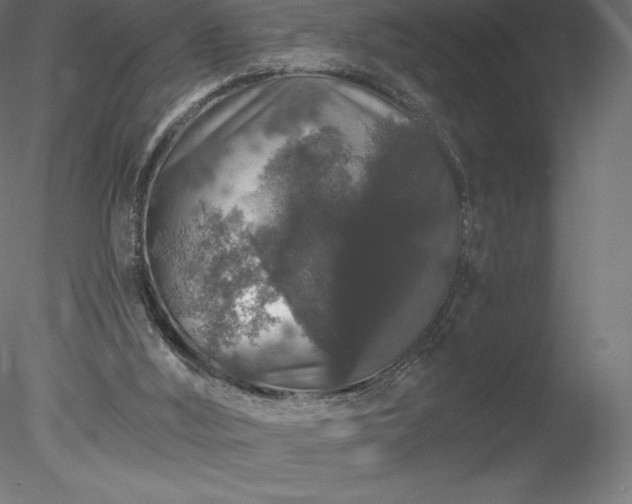 X0000078030012200611031549