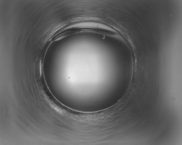 X0000078030013200611031549