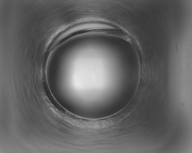 X0000078030015200611031549