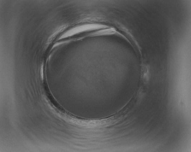 X0000078030019200611031549