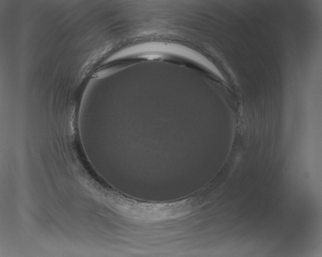 X0000078030023200611031549