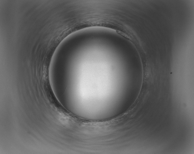 X0000078030025200611031549