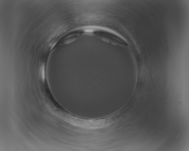 X0000078030027200611031549