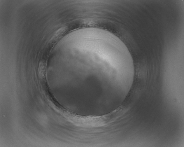 X0000078030036200611031549