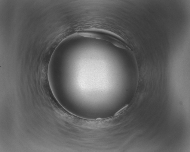 X0000078030037200611031549