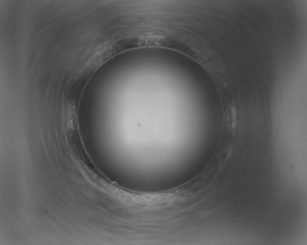 X0000078030038200611031549