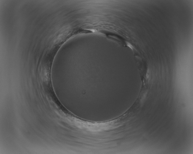 X0000078030039200611031549