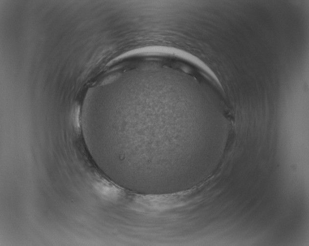X0000078030041200611031549