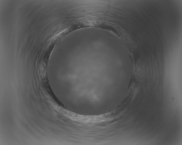 X0000078030043200611031549