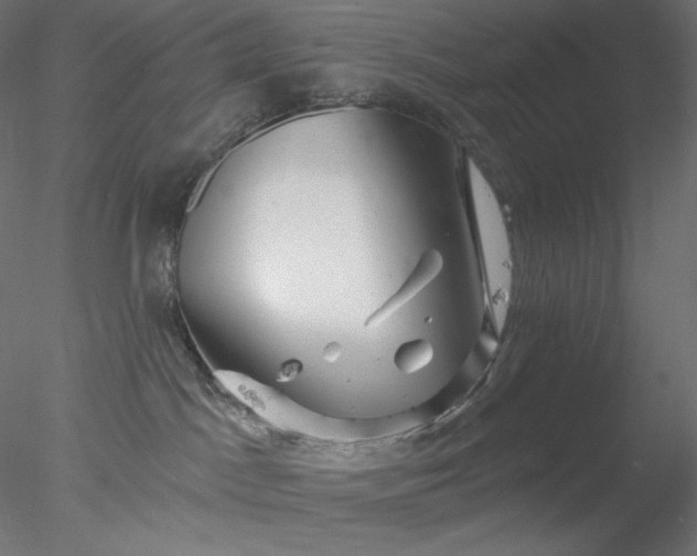 X0000078030045200611031549