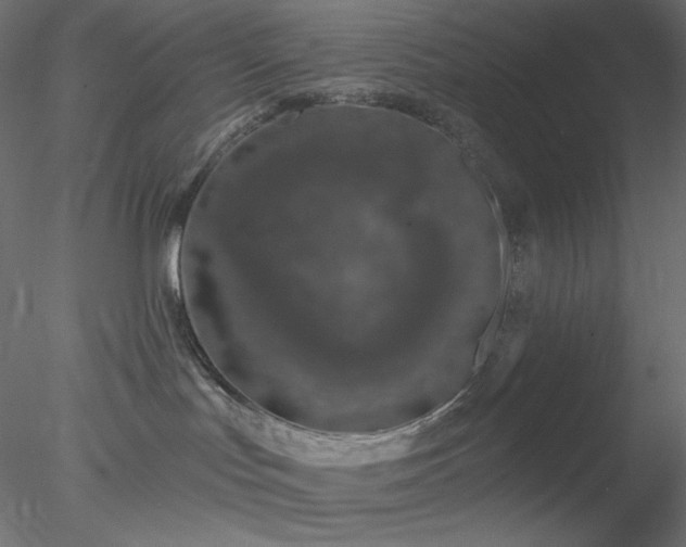X0000078030047200611031549