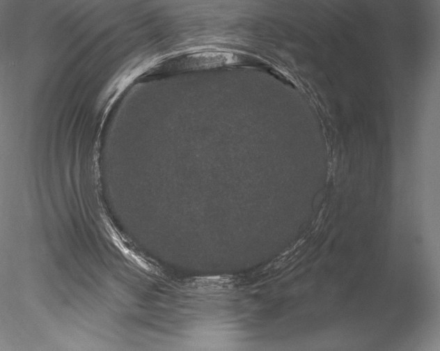 X0000078030050200611031548