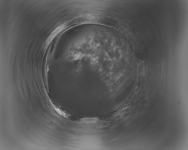 X0000078030051200611031548