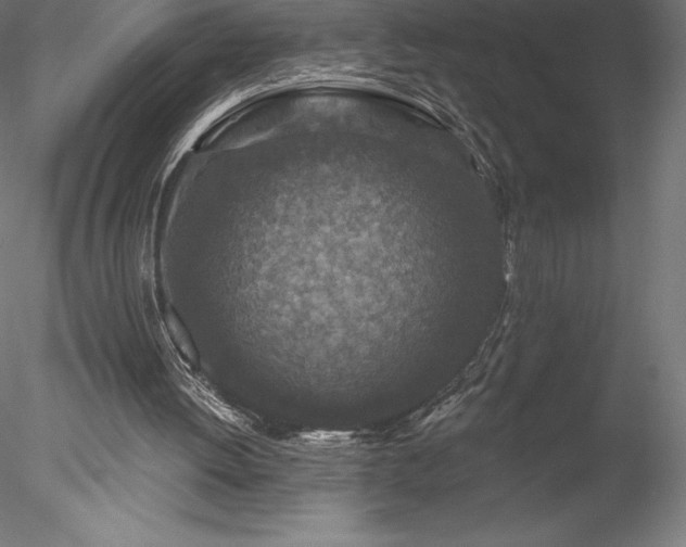 X0000078030052200611031548