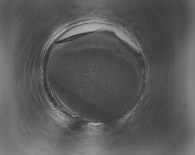 X0000078030055200611031548