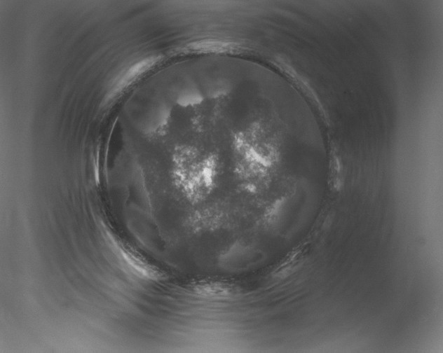X0000078030062200611031548