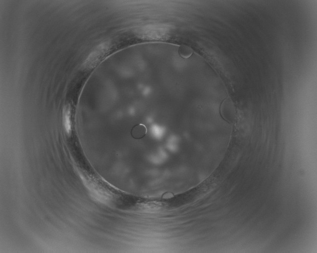 X0000078030069200611031548